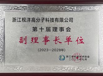 Vice President Company of Zhejiang Adhesive Association